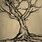 Old Tree Drawing