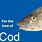 On Cod Meme Fish