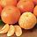 Orange Tangerine Fruit