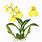 Orchid Plant Clip Art