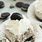 Oreo Ice Cream Cupcakes