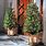 Outdoor Porch Christmas Trees