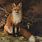 Paintings of Fox