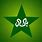 Pakistan Cricket Team Flag