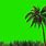 Palm Tree Greenscreen
