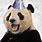 Panda Birthday Meme