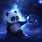 Panda HD Wallpaper Animated