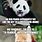 Panda Memes Funny