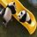 Panda Slide