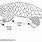 Pangolin Diagram