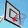 Panier De Basket Court