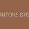 Pantone 876 C
