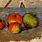 Paul Cezanne Four Apples