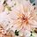 Peach Dahlia Bouquet