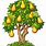 Pear Tree Clip Art