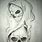 Pencil Art Drawings Skulls