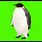 Penguin Greenscreen