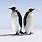 Penguin iPhone Wallpaper