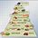 Pescatarian Food Pyramid