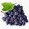 Pic of Grapes
