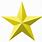 Picture of Gold Star