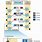 Picture of Nucleotide