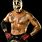 Pictures of WWE Rey Mysterio