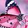 Pink Butterfly Phone Wallpaper