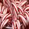 Pink Christmas Candy Canes