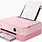 Pink Computer Printer