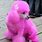 Pink Poodle Puppy