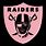Pink Raiders Logo