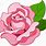 Pink Rose Cartoon