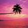 Pink Tropical Beach Wallpaper