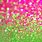 Pink and Green PNG