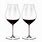 Pinot Noir Wine Glasses