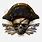 Pirate Hat Skull