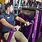 Planet Fitness Chest Machines