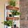 Plant Wall Shelf