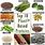 Plant-Based Protein Foods