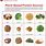 Plant-Based Proteins List