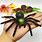 Plastic Toy Spider