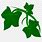 Poison Ivy Plant Cartoon