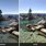 Polarizing Filter Before and After