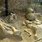 Pompeii Petrified Bodies