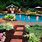 Pool Landscaping Ideas On a Budget