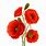 Poppies Flowers Clip Art