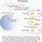 Precession Cycle