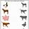Preschool Matching Farm Animals