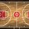 Pro Basketball Court